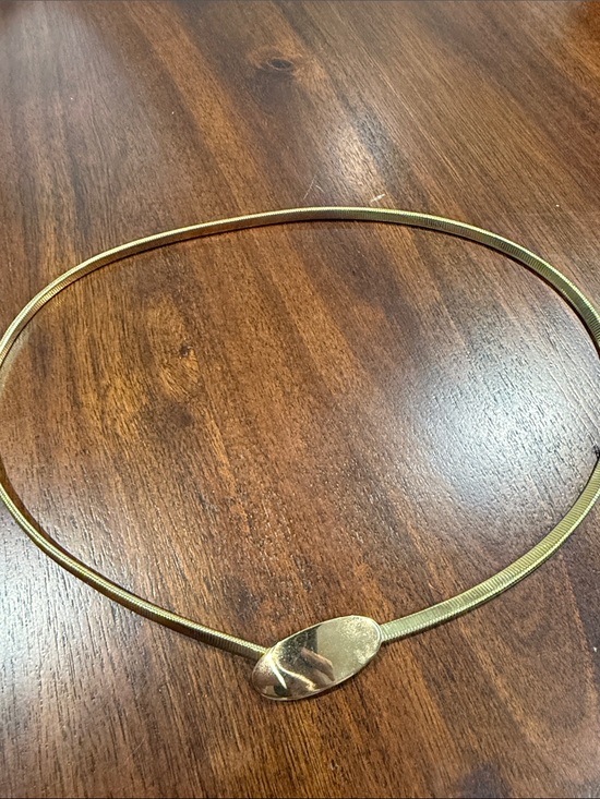 Sarah Coventry Accessories - Vintage Sarah Coventry Gold Tone Belt with Oval Buckle